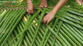 Weaving coconut fronds | Coconut leaves roof | Coconut leaf wall | Hand craft | Our art house