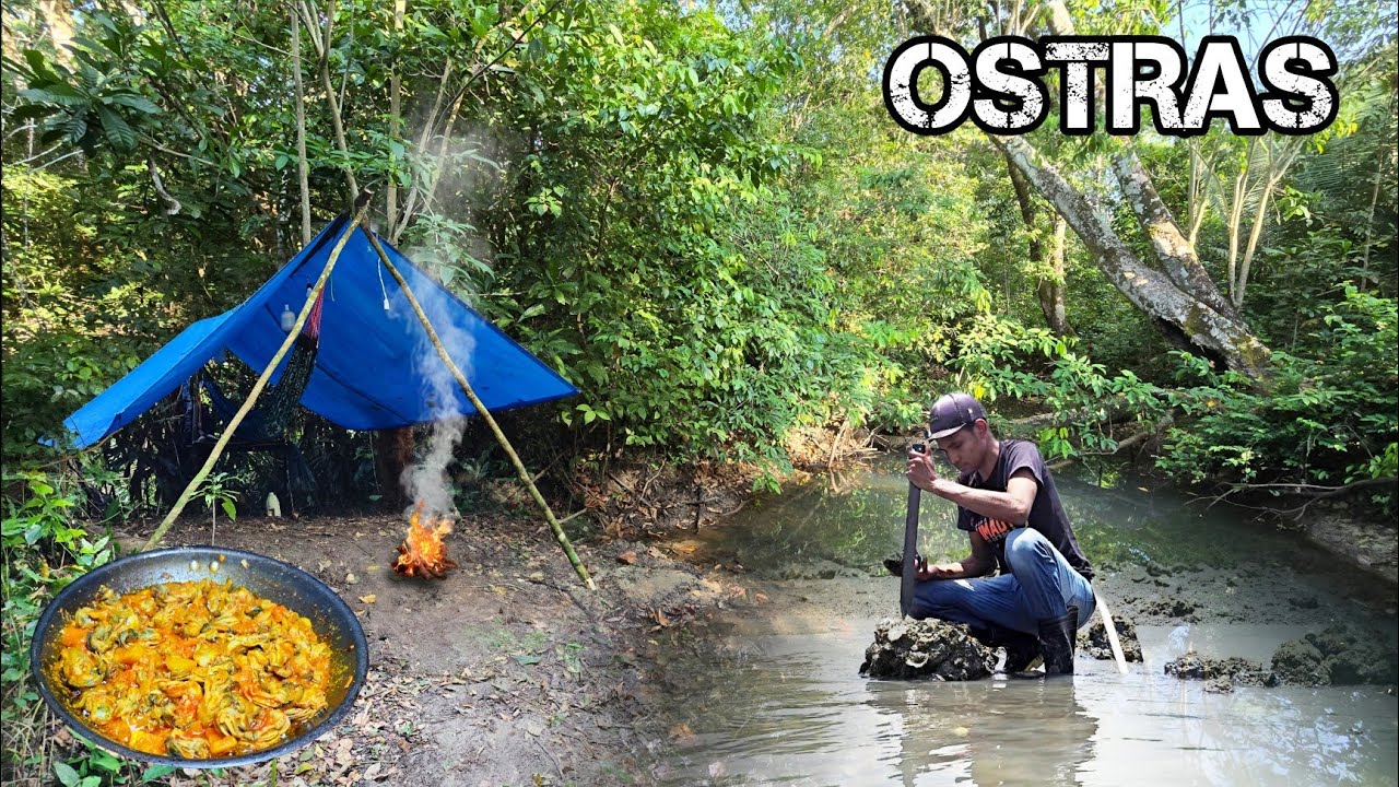 SOBREVIVÊNCIA SELVAGEM: Acampei, tirei OSTRAS e preparei um BANQUETE no meio da MATA