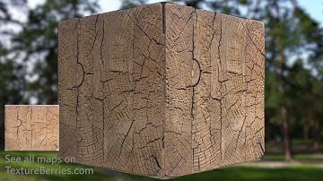 📸 Timber end - 01, TEXTURE for 3Ds Max, Unreal Engine, Unity (transparency)