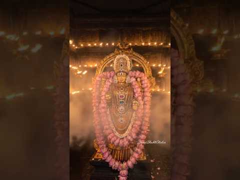 The supreme majesty of Goddess Mahalakshmi 🙏🏻#lakshmi #mahalakshmi #laxmi #maa #laxmiji #goddess