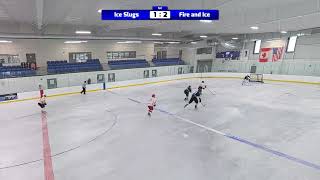 Ice Slugs vs. Fire and Ice (Summer 2026 - Game 3)