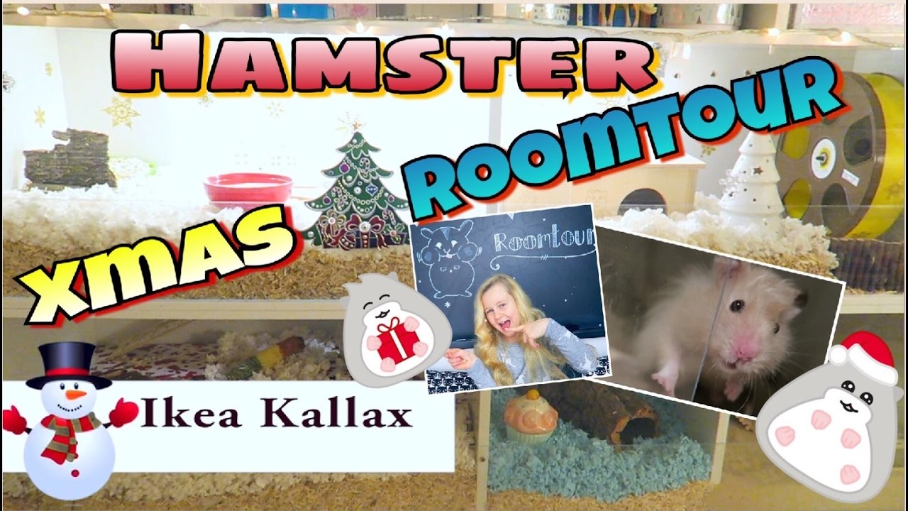 HAMSTER ROOMTOUR🐹Ikea DIY Gehege💖coole Mädchen mavie noelle instagram