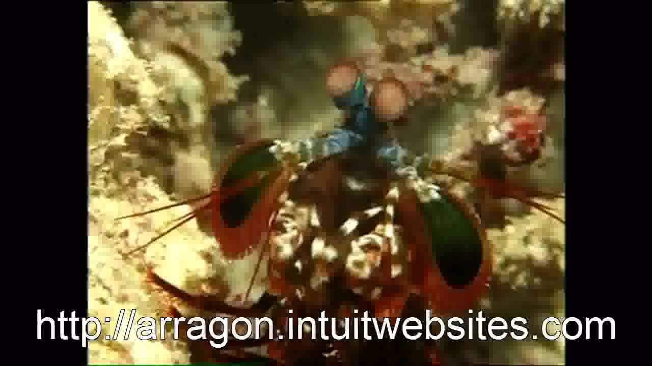 Mass Extinction of Humans! Sky Islands Fall: RED ALERT USA