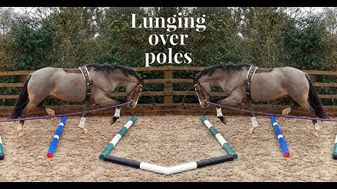 LUNGING OVER POLES MADE EASY