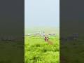 Gudisa Maredumilli Hills Hillstation Kodaikanal Lonavala Ooty Kerala Godsowncountrykerala 