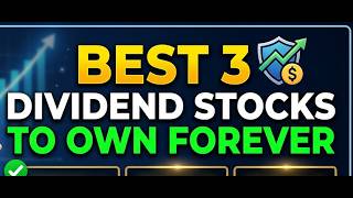 The Best 3 Stocks to Buy and HOLD FOREVER