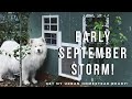 Prepare for a Rogue Early Storm with Me! | Urban Homestead Vlog, Garden Tour, Harvest, and Chickens!