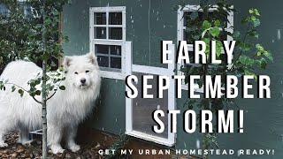 Prepare for a Rogue Early Storm with Me! | Urban Homestead Vlog, Garden Tour, Harvest, and Chickens! by Kait 1,342 views 3 years ago 13 minutes, 9 seconds