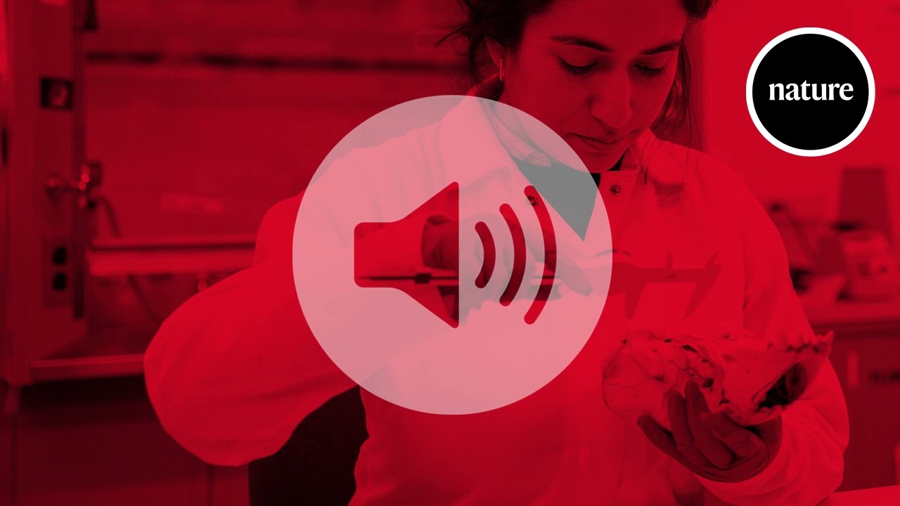 How a young physicist’s job move helped Argentina join the ATLAS collaboration