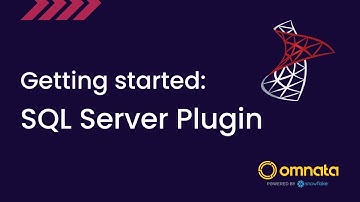 Omnata SQL Server Connection (ngrok tunnel) Demo