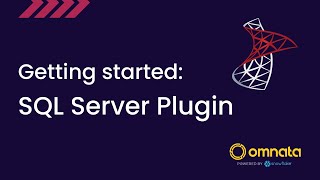 Omnata SQL Server Connection (ngrok tunnel) Demo