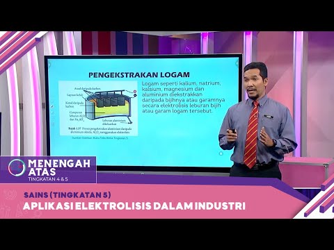 Video: Sel yang manakah membentuk unjuran yang dipanggil pedisel?