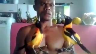 INILAH SUARA KICAUAN BURUNG TERMAHAL