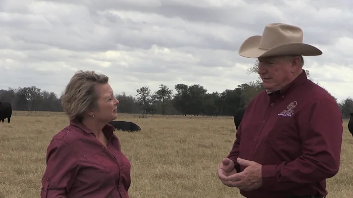 Ron Gill - Beef & Cattle Literacy - The Use of Antibiotics