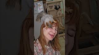 Squirrel Licking its Owner Passionately