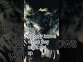 Nobody knows… #lovinglife #summer #theaterkid #therian #alterhuman #furry #transrights #yolo