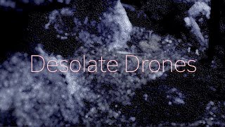 Desolate Drones by Stijn Kuppens & Benjamin Van Esser