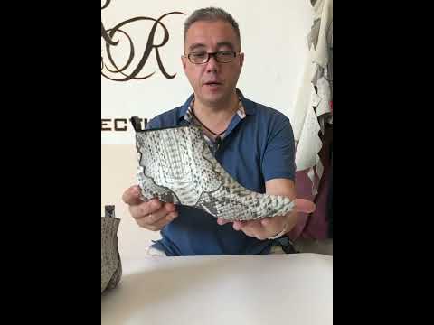 Казаки из питона🐍