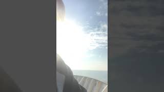 Dolphin White Grampus Griseus