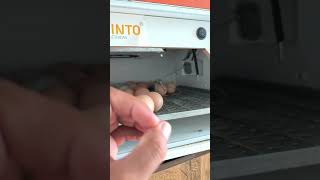 Rolagem automática chocadeira funcionando #chocadeira #chocadeiras #rolagem #automatico #automático