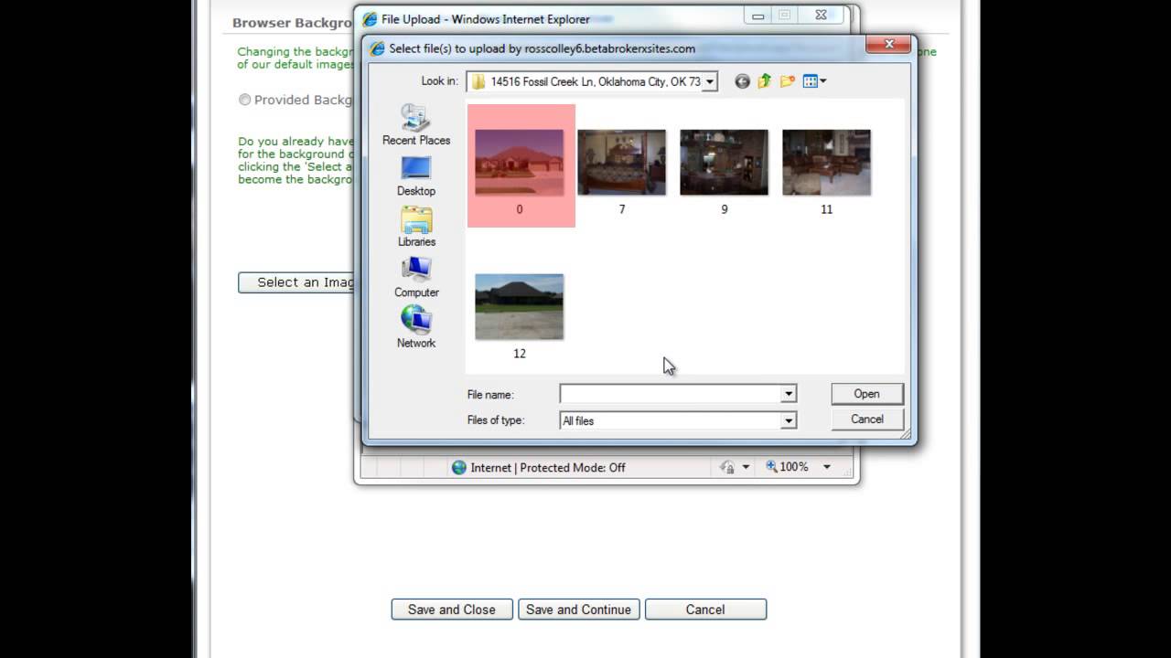Agent XSites  Wizard Step 2   Customize Your Background