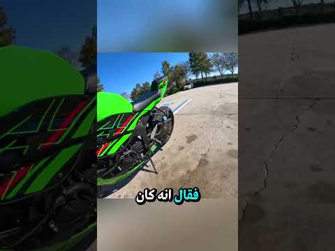 لسعة تحت المقعد