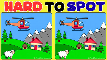 Can You Spot All 5 Differences Before Time Runs Out?
