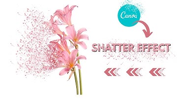 How to Create Shatter Effect in Canva for FREE (URDU/HINDI)