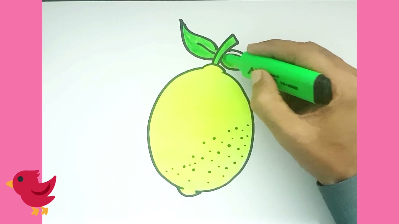 como dibujar un limon - Como se dibuja un limon
