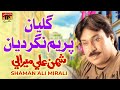 Galiyan Prem Nagar Diyan | Shaman Ali Mirali | TP Sindhi