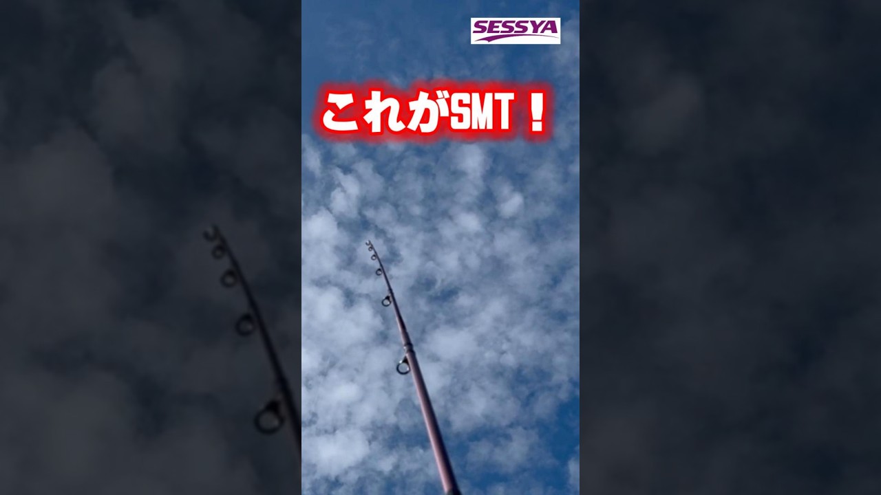 【キス釣り】ダイワ最強タックル!SMT超感度!