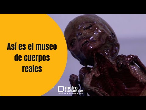 Así es el museo de momias que se encuentra en Bogotá