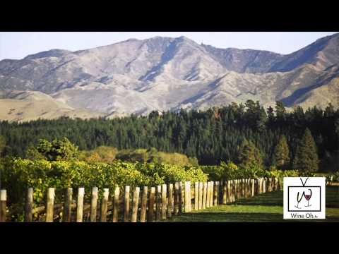 learn-about-new-zealand-wine:-sauvignon-blanc-and-beyond---wine-oh-tv