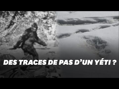 Vidéo: Ouvrez, Yeti! Sur Les Traces De Bigfoot Dans Les Montagnes D'Adygea - Vue Alternative