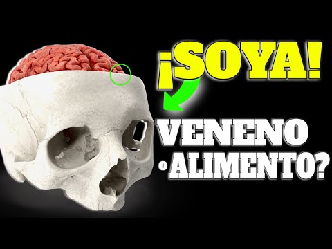 Esto le OCURRE a tu CUERPO cuando COMES SOYA/SOJA