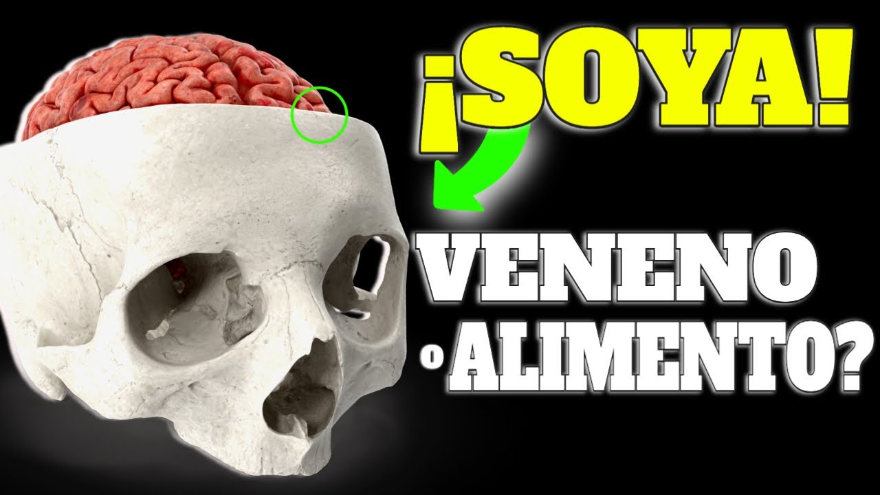 Esto le OCURRE a tu CUERPO cuando COMES SOYA/SOJA
