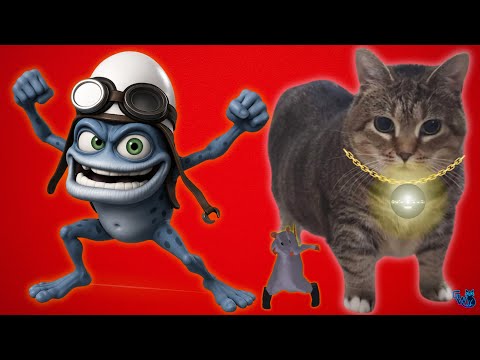 OIIAOIIA CAT, CRAZY FROG, RAT DANCE - Spinning Cat (TECHNO REMIX) Cat Brainrot Video - STAR SYSTEM