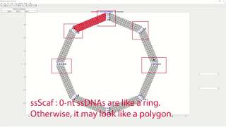 B2. Example: a series of rings from a circular pattern of lines/bundles.