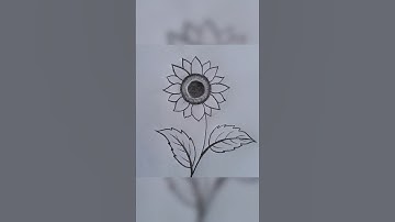 Easy sunflower 🌻 drawing for beginners || step by step sketch drawing #drawing #sunflowers  #sketch