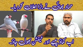 Java Business Plan By Hammad Bhai Birds Market V-187 Duabirds007