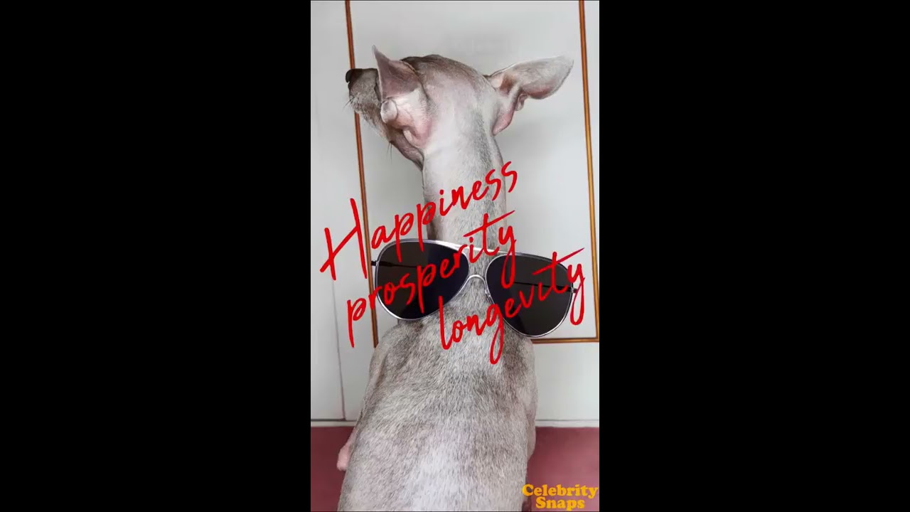 Victoria Beckham Instagram Stories | February 2018 Full |