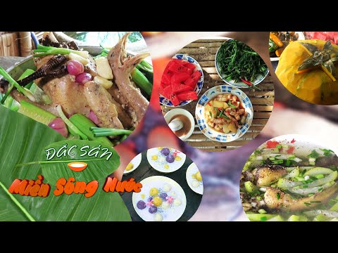 Video Những món ngon từ các nguyên liệu dễ kiếm trong vườn... - youtube