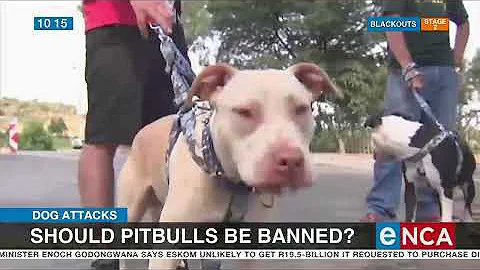 Should Pitbulls be banned?