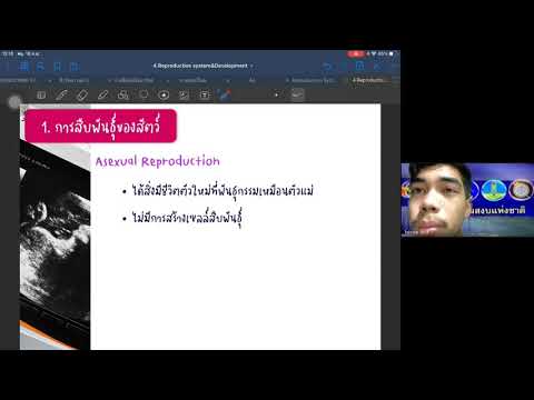 Biology Online Meeting18 M.6/5(16/9/64)