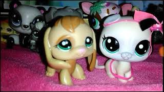 Распакова lps. У меня появился БиГлЬ??!! Моя первая распаковка♥ Распакова lps. У меня появился БиГлЬ??!! Моя первая распаковка♥