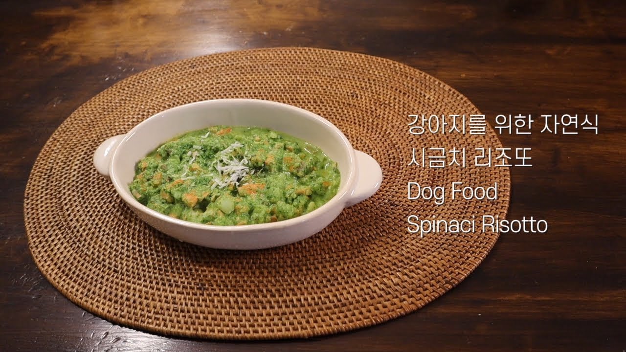 강아지가 먹는 시금치리조또 만들기/Dog Food/Dog Risotto - YouTube