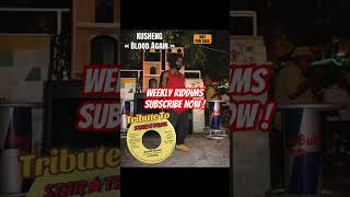 Tribute To Star Trail Records - Tempo Riddim