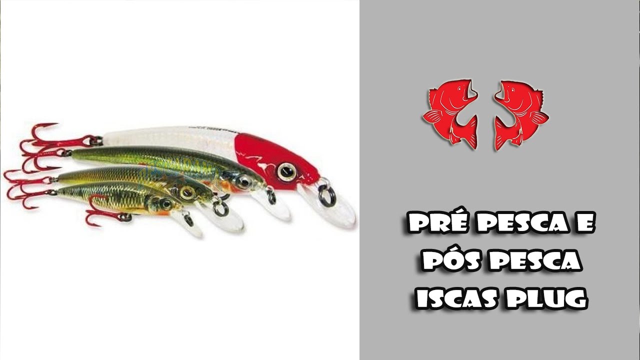 Como Fazer a Pré Pesca e Pós Pesca-Iscas Plug [Dicas e Pescas] - YouTube