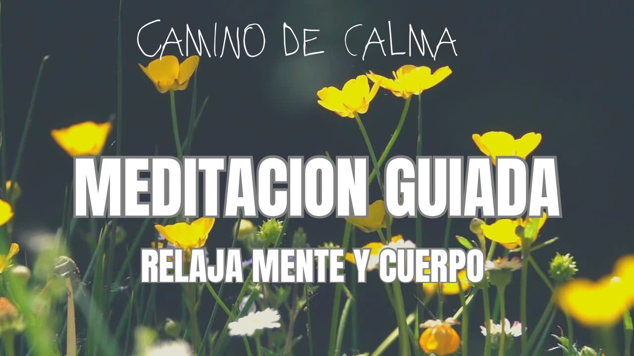 MEDITACION GUIADA para RELAJAR MENTE Y CUERPO🧘‍♀️en pocos minutos - YouTube
