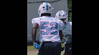 Wan’Dale Robinson and Chimere Dike Shine in Titans Final Practice Before Training Camp